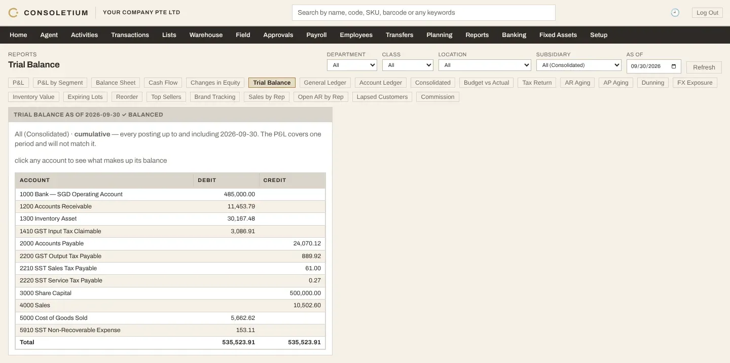 Trial balance with debit and credit columns by account